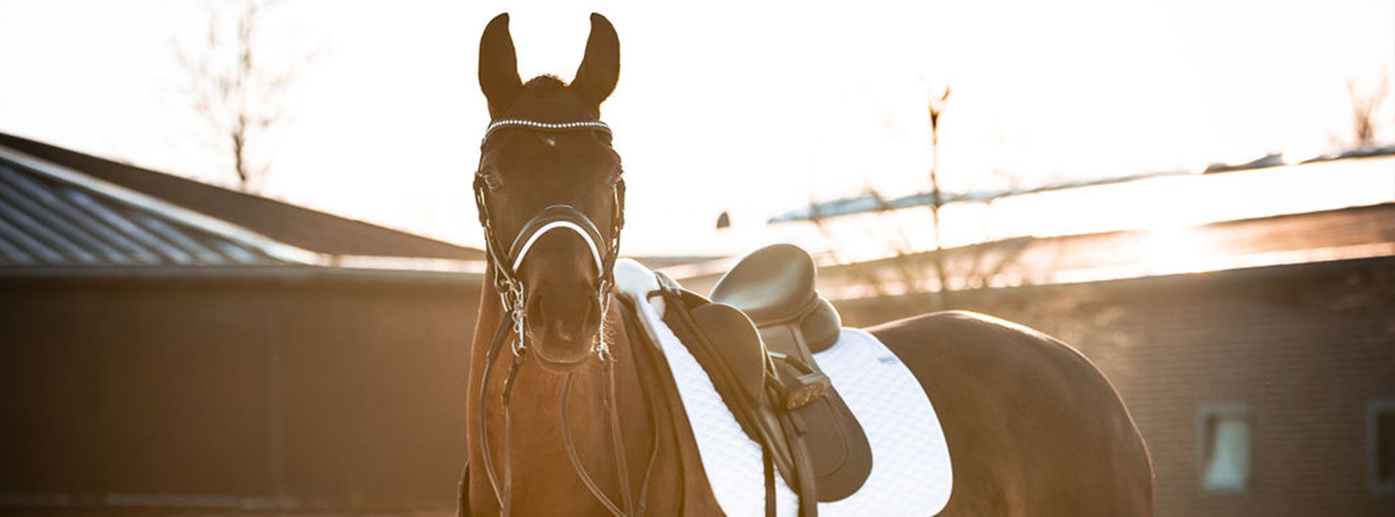 Concours-photo-Janvier-Hubspot-page-2026 copie