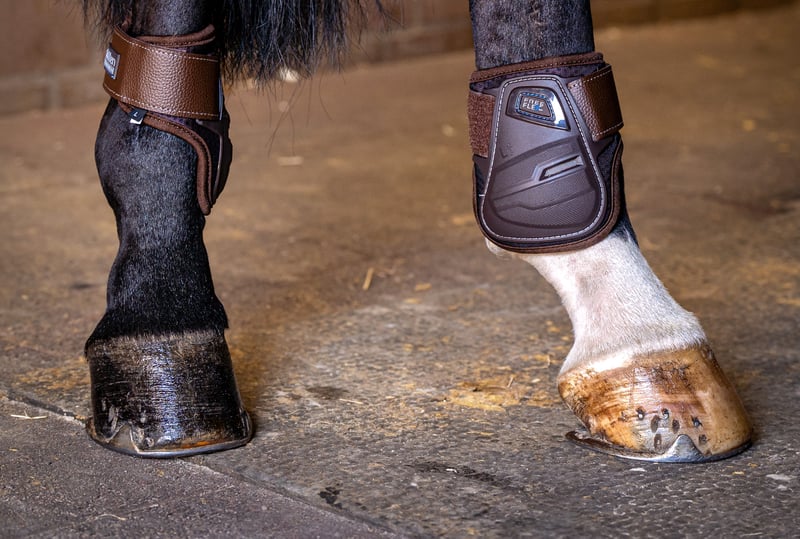 Hybrid Fetlock Boots Hybrid Fetlock Boots