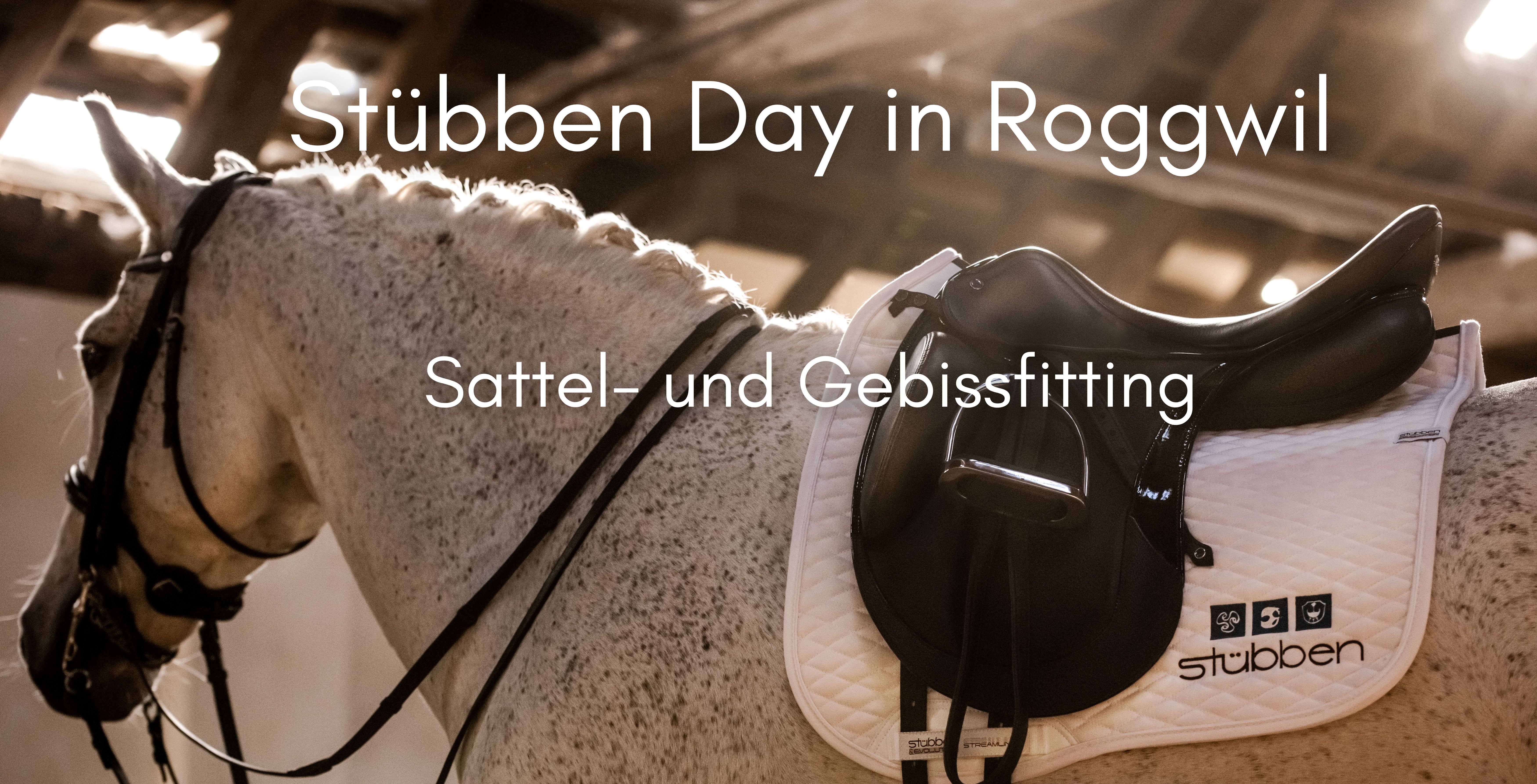 Stübben Day in Rogwill Sattel- und Gebissfitting (4)
